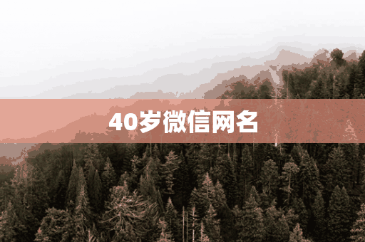 40岁微信网名